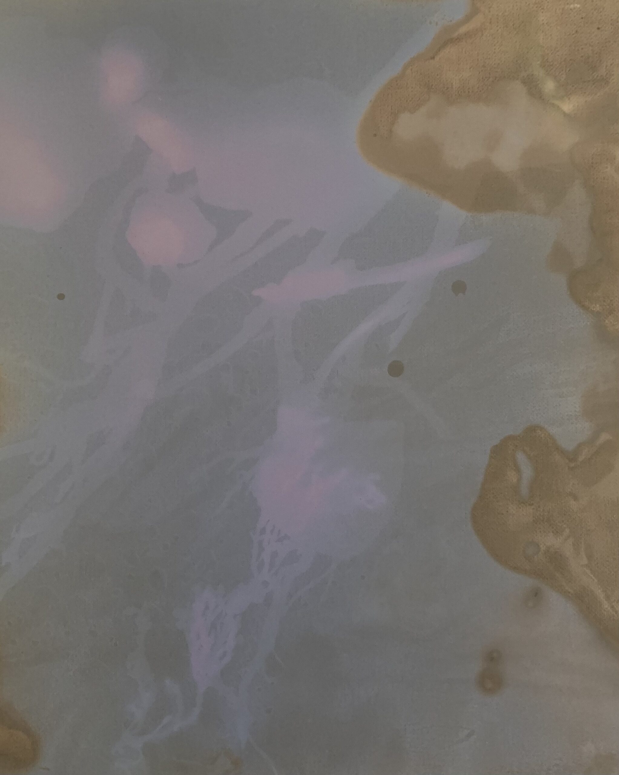 2026 Lumen Prints